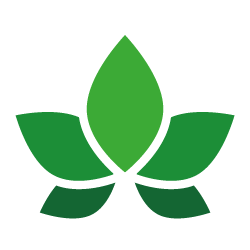 rollup-lab-loco-icon-250-transp