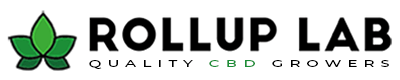 Rollup Lab