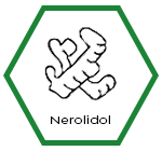 Rollup Lab | Cannabis Legale e CBD | Profili Terpeni Cannabis | Nerolidol