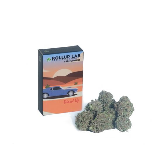 Rollup Lab | Quality CBD Growers | Cannabis Legale e CBD | Cannabis | cbd | Outdoor | Diesel Up