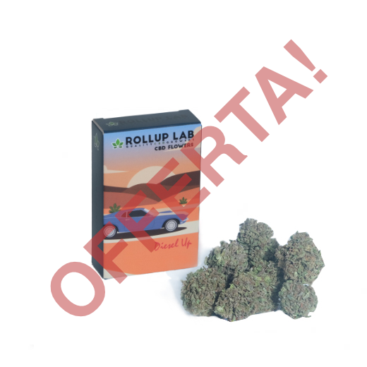 Diesel UP Cannabis Light CBD Outdoor