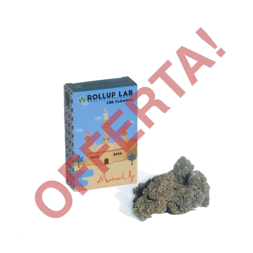 Mazar UP Cannabis Light CBD Outdoor